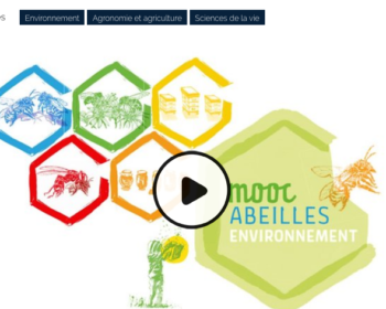 MOOC FUN Abeilles & Environnement