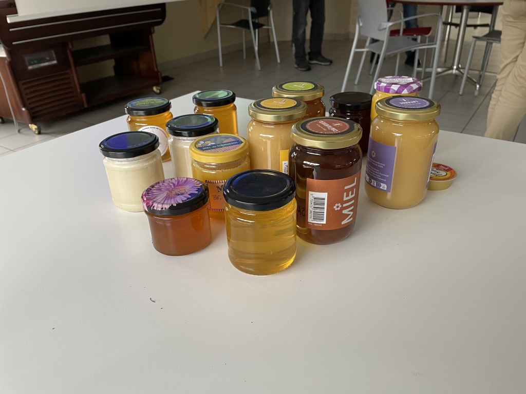 analyse sensorielle des miels conférence rucher rocamadour 4