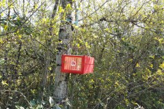 Piège RedTrap_3