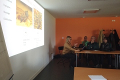 Maladies_biologie_abeilles_1