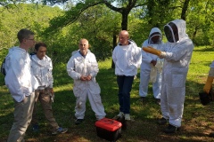 séance au rucher 300422