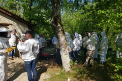 séance au rucher 300422