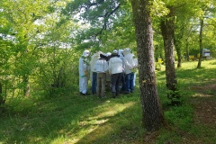 séance au rucher 300422