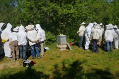 séance au rucher 300422