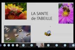 Visioconférence Karine santé biologie de l\'abeille