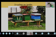 Visioconférence Philippe 3 ruches au jardin