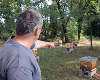 Olivier Du Peloux et ses ruches