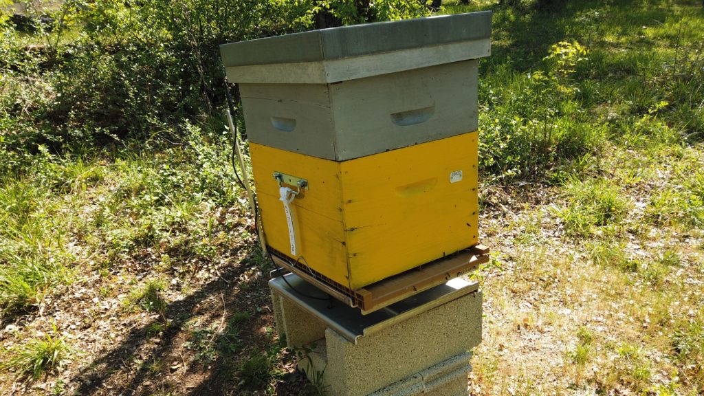 Optibee balance sous ruche
