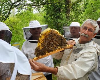 Jacques-ruche-Kenyane-Rucher-Ecole-Rocamadour