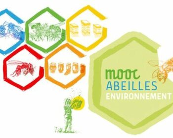 mooc abeilles environnement formation