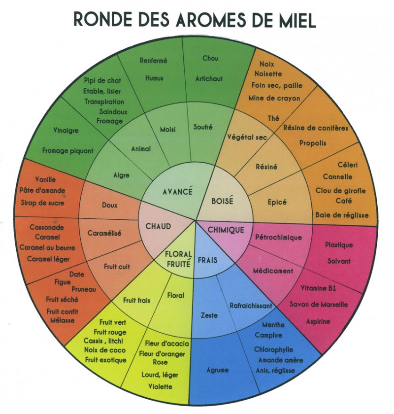 Roue des arômes Conférence analyse sensorielle des miels rucher rocamadour