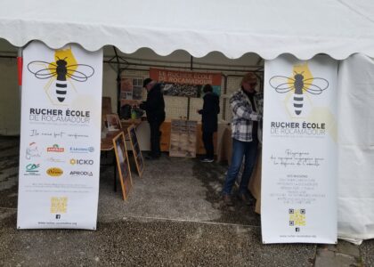 Stand rucher école